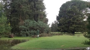 La cancha de golf del Jockey Club, como el año pasado, sufrió caída de árboles.